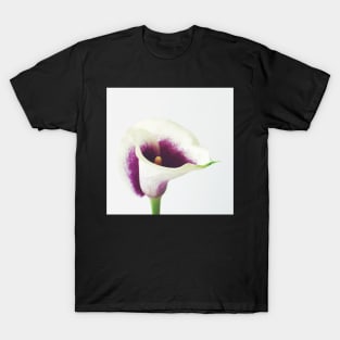 Calla Lily T-Shirt